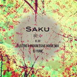 Saku V.III (Electro & Progressive House Mix)