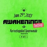 Blawan @ Awakenings Festival 2013 - Recreatiegebied Spaarnwoude - 29.06.2013