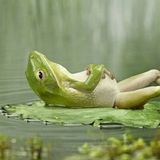 In Gedanken ganz wo anders