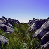 4 chilled tracks I like