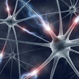 Neural Network