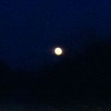 Silly o'clock - Moontime Mix
