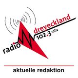 Act Up-Paris sur Radio Dreyeckland 23 avril 2013 (français)