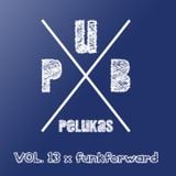 Pub Pelukas vol.13 - Funkforward