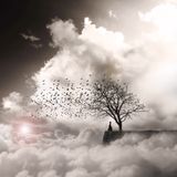 ♫♪☆¯¨˜“ª¤.¸♫♪♪☆¯When the day Ends♫♪☆¯¨˜“ª¤.¸♫♪♪☆¯