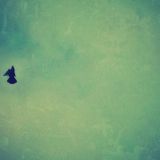Ambient Belief System 3