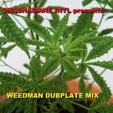 SHASHAMANE INTL WEEDMAN DUBPLATE MIX AUG 2K13