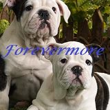 Forevermore