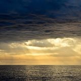 Noćurak ide nizvodno :: Downstream Drifting :: Fantastic Voyage, #2