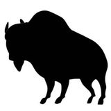 Bill Shakes 43 - Balearic Buffalo