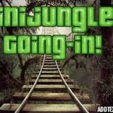 inijungle Going in!