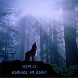 Explo - Animal Planet Mix 2013.