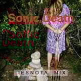 SONIC DEATH — TESNOTA MIX #25