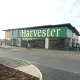 Tomorrow's Harvester
