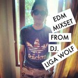 EDM MIXSET FORM LIGA WOLF DEEJAY.