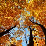 Chillout / Deephouse Set vol.2