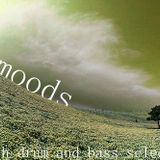 dani - moods #1