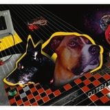 DTMT - The Dogtape -