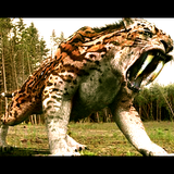 Release the Sawtooth!!