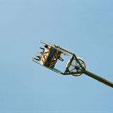 Field Day Radio July 2014 - Rinse FM Takeover w/ live festival tracks