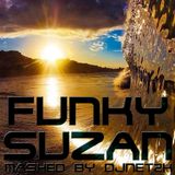 Funky Suzan Mash by DJNet2k