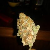 THC006 MP3