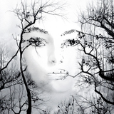 Echo - Synchronicity