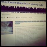 Risk of Electric Shock vol. 17. mixed by GUGU (2013.06.25)