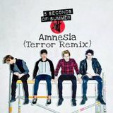 5 Seconds Of Summer - Amnesia (Terror Remix)