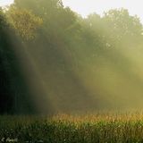 booken-liquid light(2006)