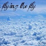 i´m flying the fly volando voy volando me quedo