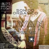 Sonido Organico Episode 29 hosted by PABLoKEY ft. Elwan (CapsuleM) LA/Cairo 8.12.13