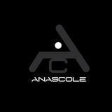 Anascole - Vivid Zone Podcast