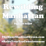 #1530: Rewilding Manhattan