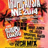 Cal Jader's Tropicalista: Best of 2014 mix