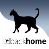 Back Home Essentials 11-03-2012 guestmix