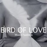 Steve Ferrand - Bird of Love - A Mix