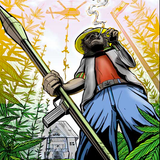Ganjah Farmer Riddim