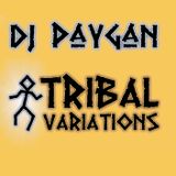 DJ Paygan - Tribal Variations