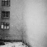 interno 12