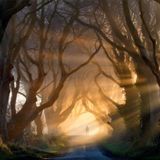 Psychonautics Sensations 4 - Destination Unknown