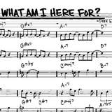 eStereo_What Am I Here For?