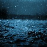 Cosmic Rain Vol. 7 - House is House