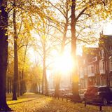Sunny (Autumn mixtape 1020)