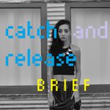 Brief