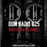 GUM Radio 025