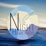 Night Hawk Radio Yearmix 2013