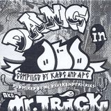 Mr Trick - Dang In Dub (2005)