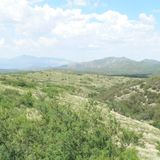 M. L. 4-5-2014 - cumbia, huasteca y mas