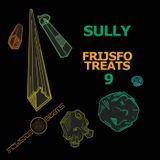 Sully - Frijsfo Treats 9
